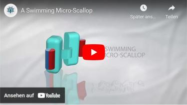 Fischer_Video_Swimming
